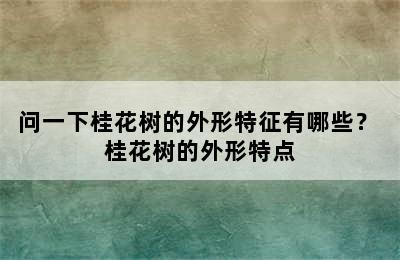 问一下桂花树的外形特征有哪些？ 桂花树的外形特点